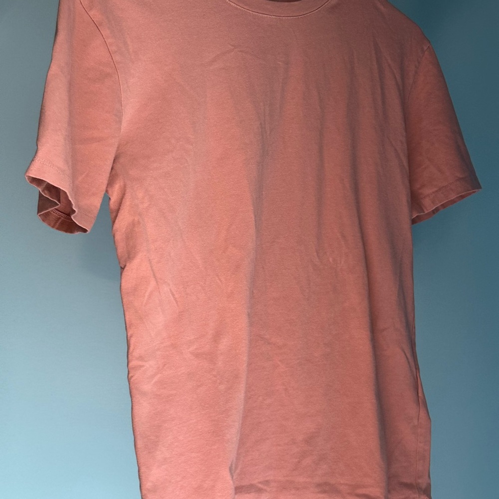 Zara Pink Short Sleeve Tee